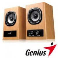 PARLANTES GENIUS HF 360A WOOD
